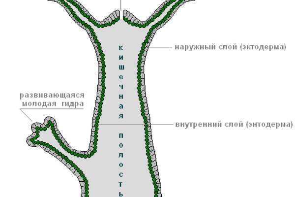 Кракен москва наркотики